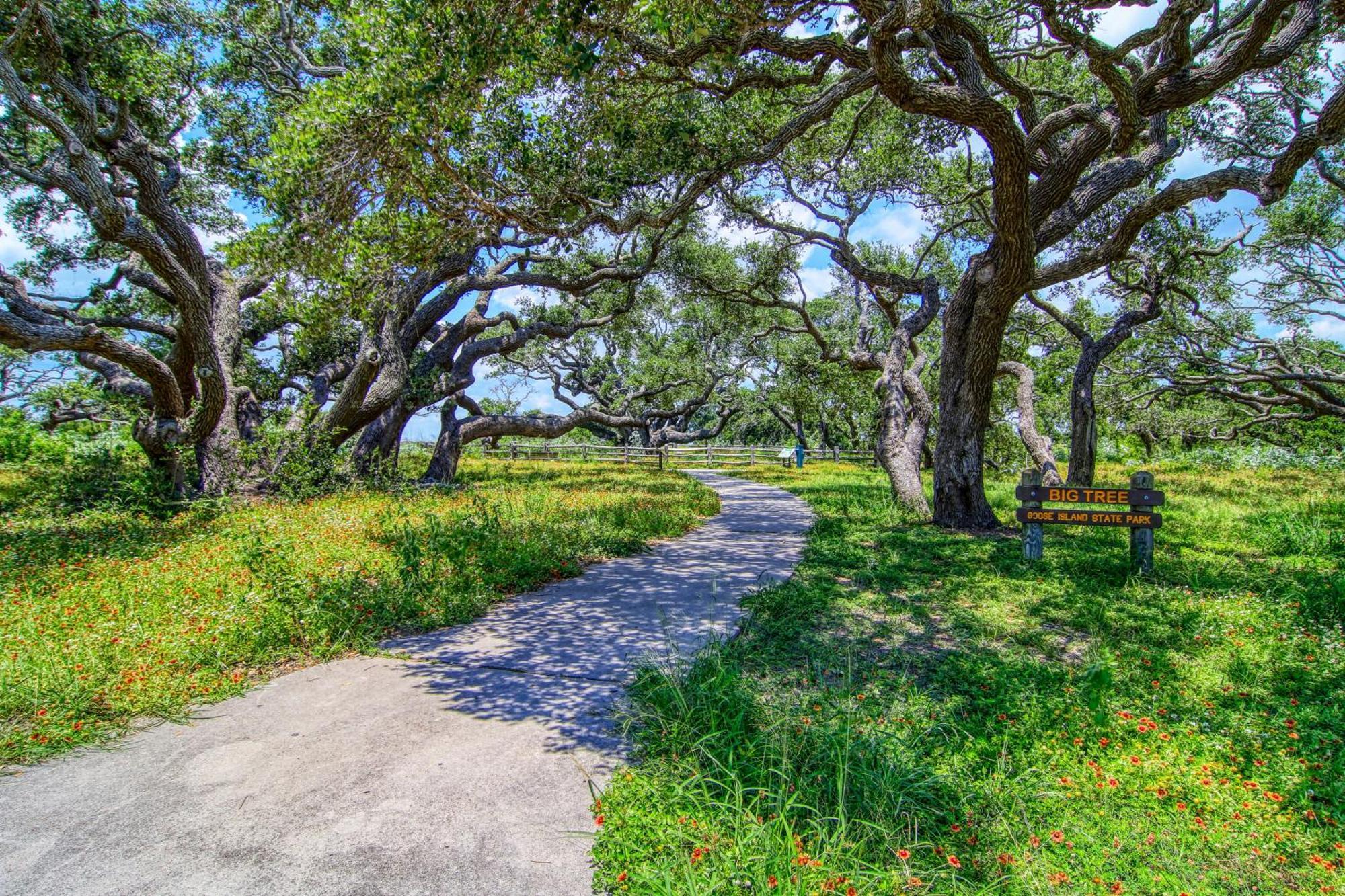 Villa Myrtle Rockport Exterior foto